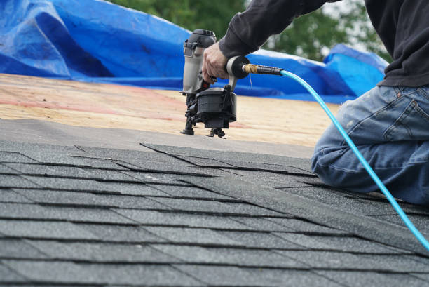 Best Roof Gutter Cleaning  in Hoisington, KS